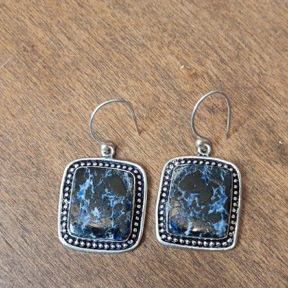 Elegant Blue and Silver Earrings